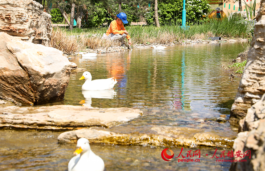 雄安辛瑪森林動物樂園內(nèi)景。人民網(wǎng)?宋燁文攝